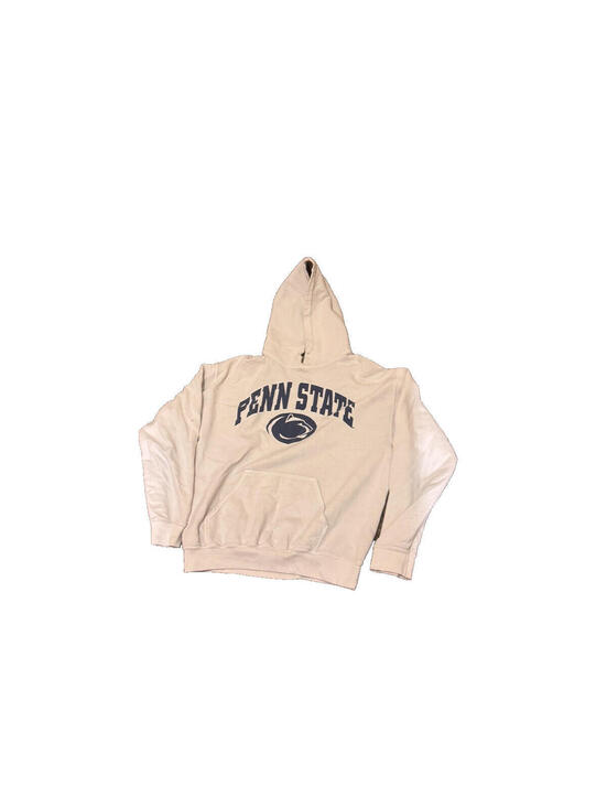 Gildan Other - Penn State Nittany Lions Hoodie Sweatshirt Gray Size L Gildan Heavy Blend